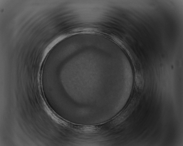 X0000051891482200507020043