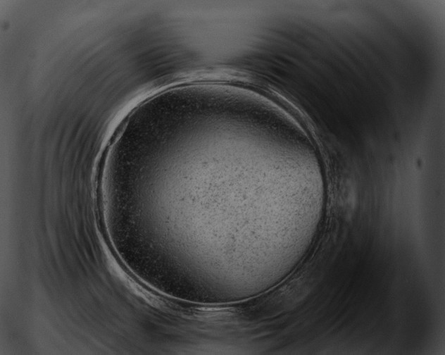 X0000051891483200507020043