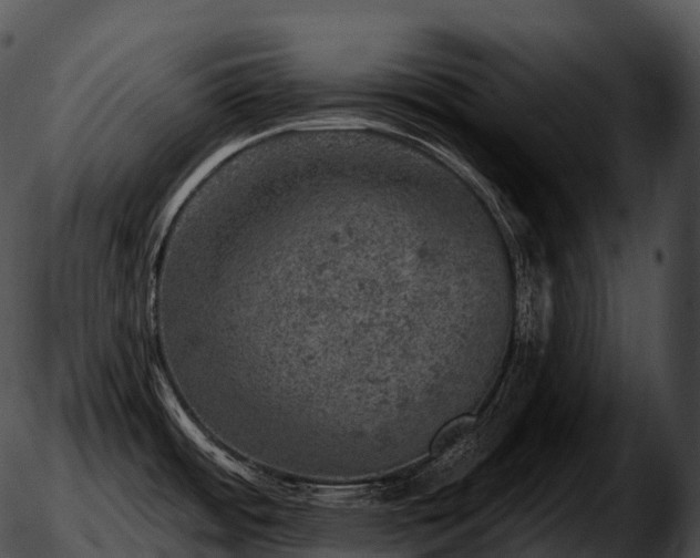 X0000051891484200507020043