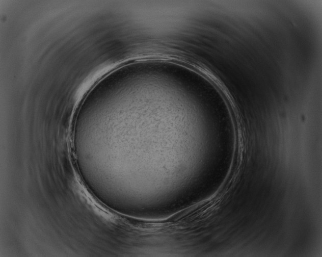 X0000051891485200507020043