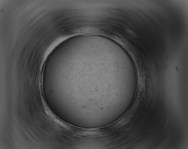 X0000051891486200507020043