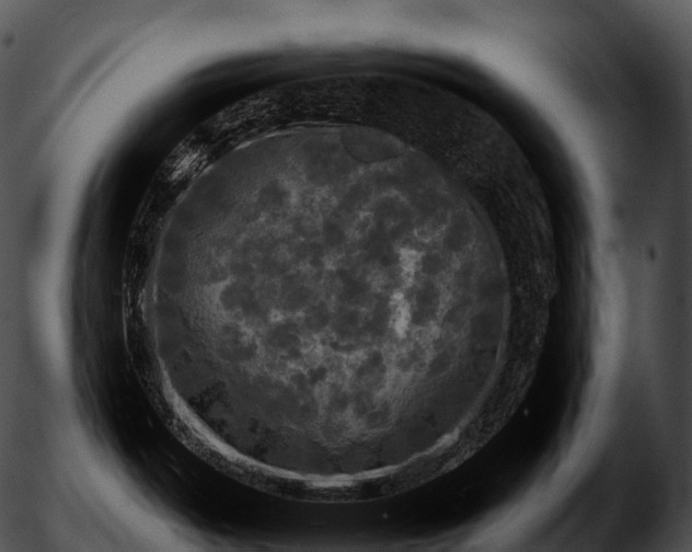 X0000051891487200507020043