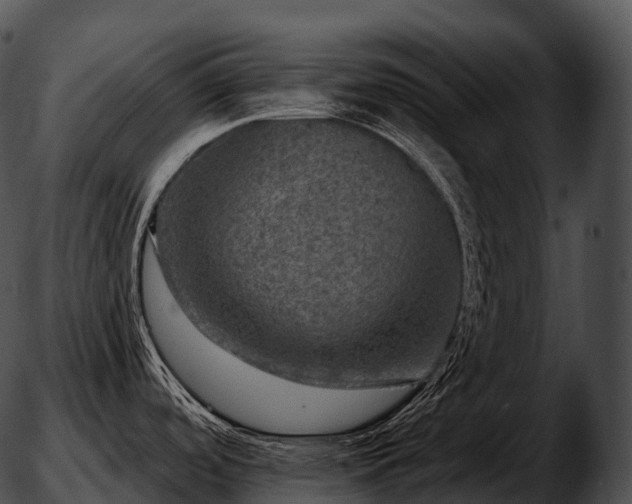 X0000051891488200507020043