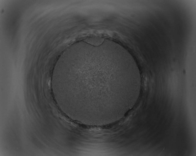 X0000051891489200507020042