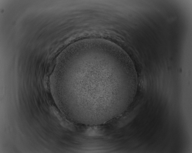 X0000051891490200507020042