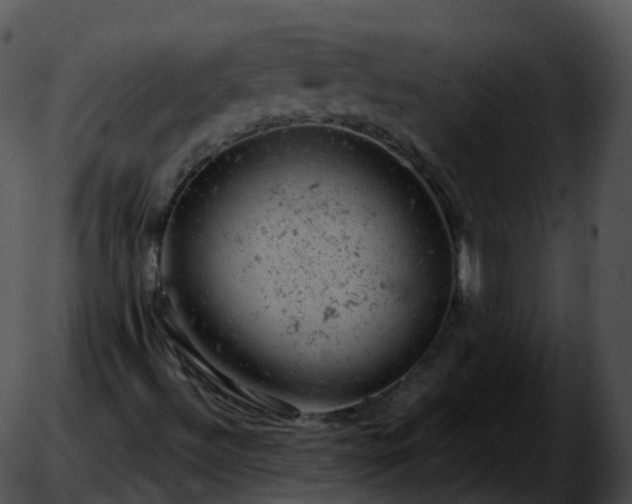 X0000051891492200507020042