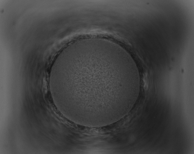 X0000051891493200507020042