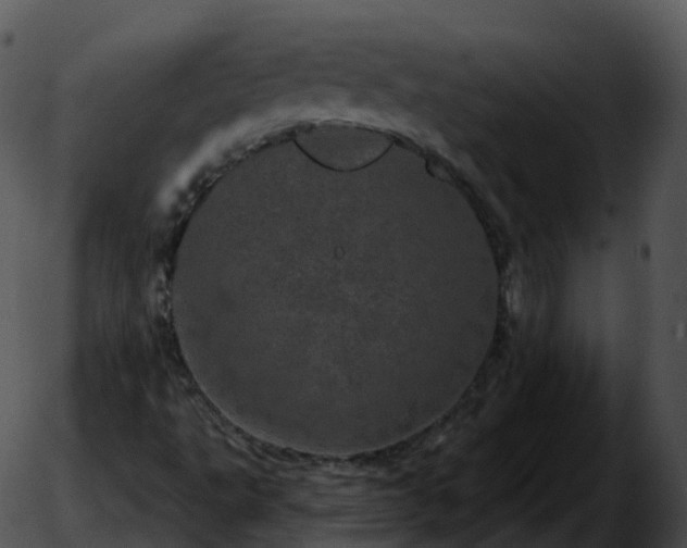 X0000051891495200507020042