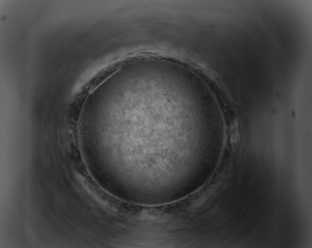 X0000051891496200507020042