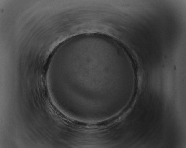 X0000051891497200507020042