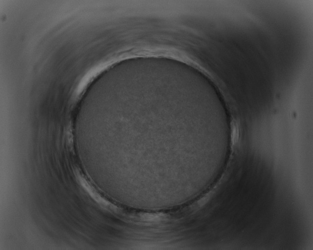 X0000051891498200507020043