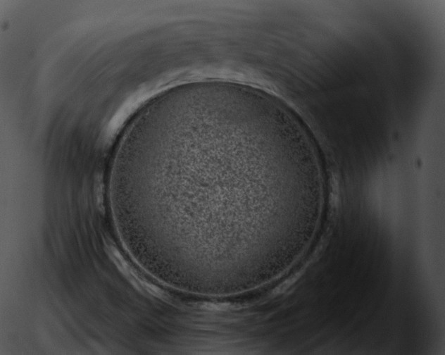 X0000051891499200507020043