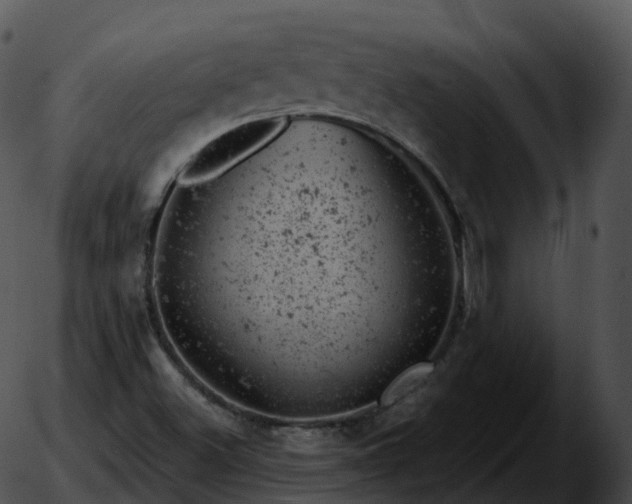 X0000051891500200507020043