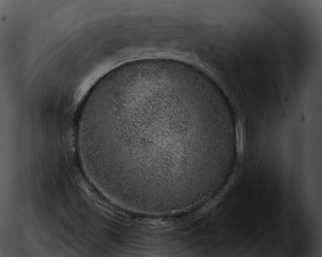 X0000051891501200507020043