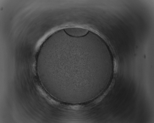 X0000051891502200507020043