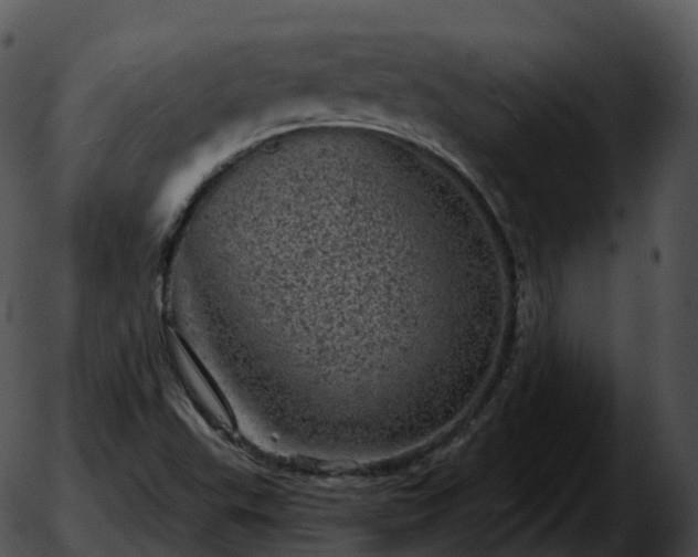 X0000051891503200507020043