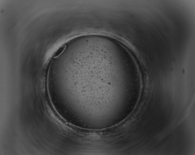 X0000051891504200507020043