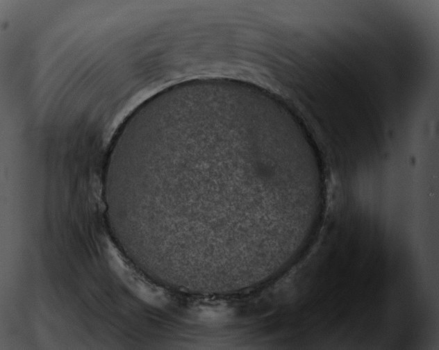 X0000051891505200507020043