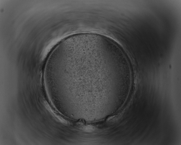 X0000051891507200507020043