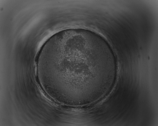 X0000051891509200507020043