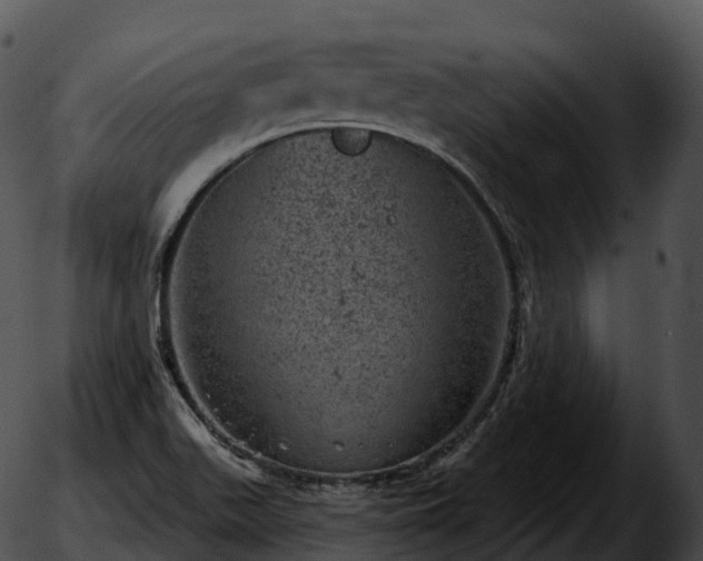 X0000051891511200507020043