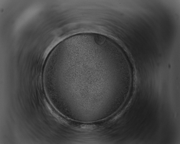 X0000051891513200507020043