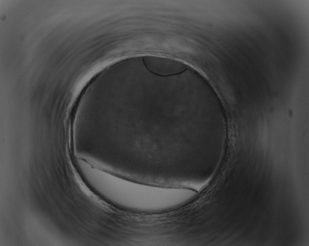 X0000051891515200507020043