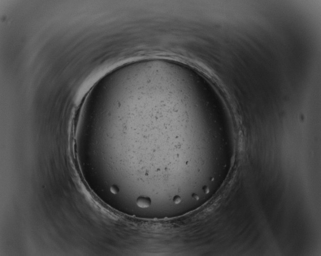 X0000051891520200507020043