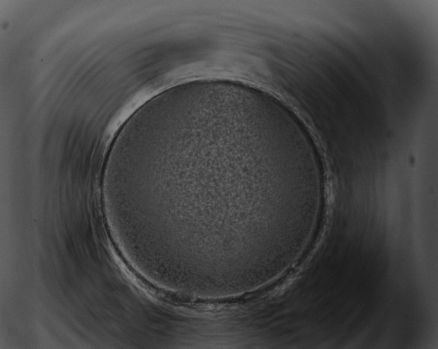 X0000051891521200507020043