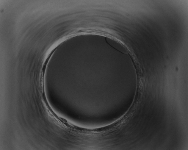 X0000051891522200507020043