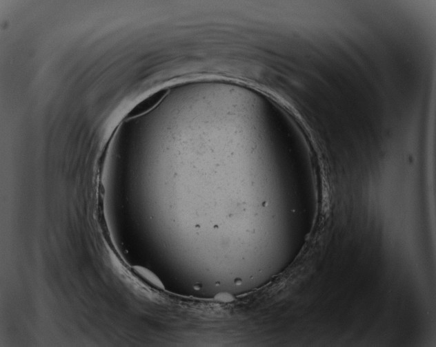 X0000051891524200507020043