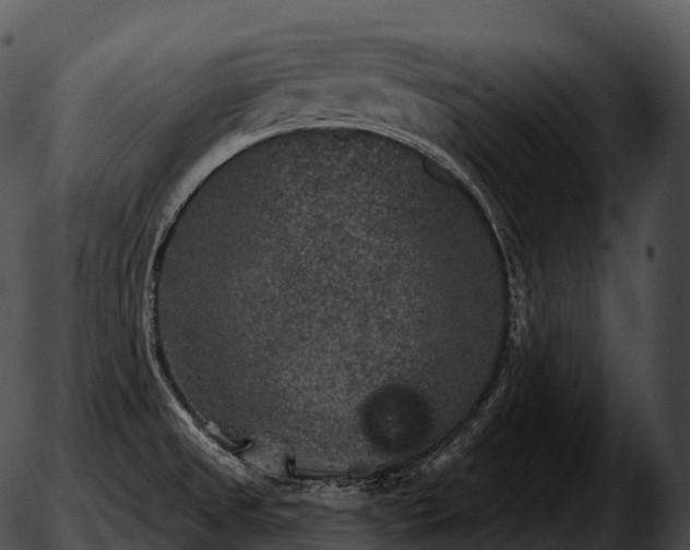 X0000051891525200507020043