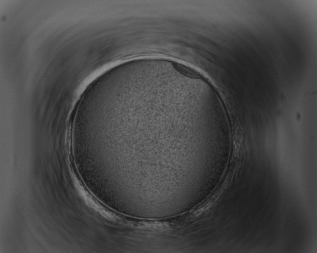 X0000051891526200507020043