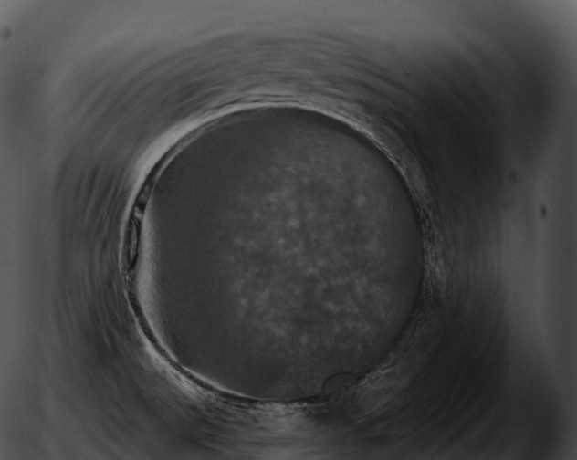 X0000051891527200507020043