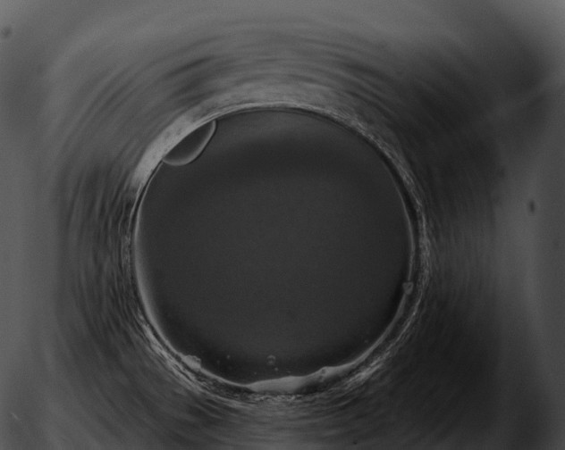 X0000051891529200507020043