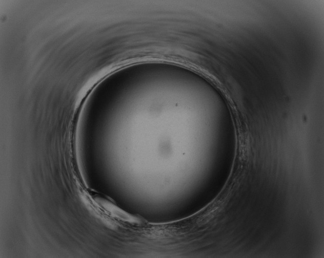 X0000051891530200507020043