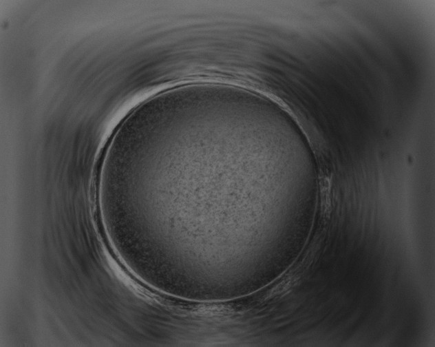 X0000051891531200507020043