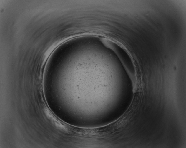 X0000051891532200507020043