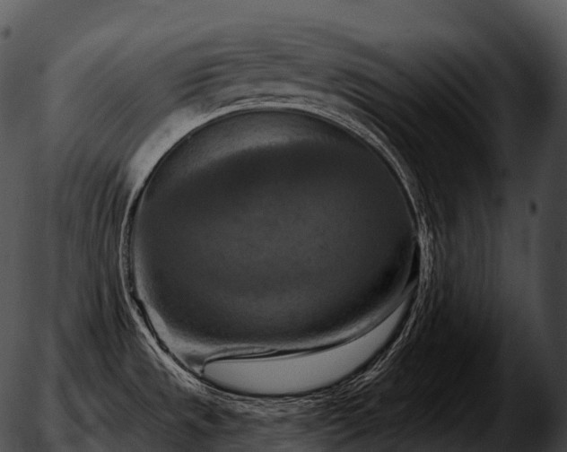 X0000051891533200507020043