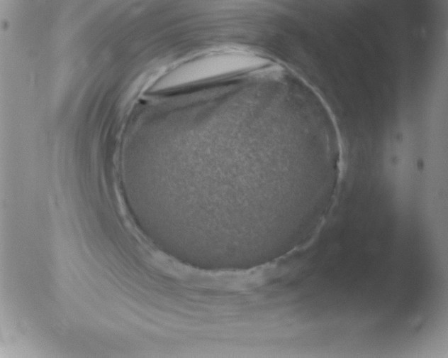 X0000051890001200507081950