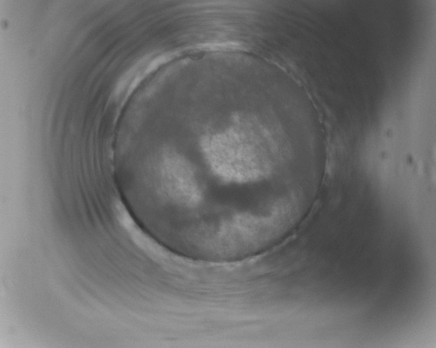 X0000051890002200507081950