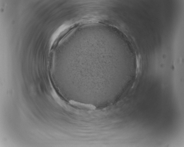 X0000051890003200507081950