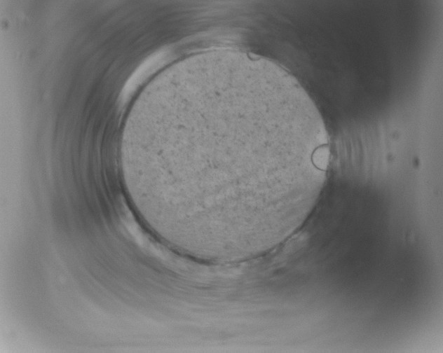 X0000051890004200507081950