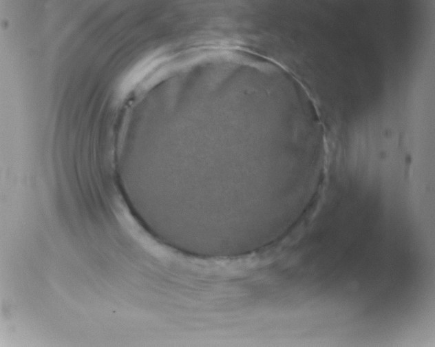 X0000051890005200507081950