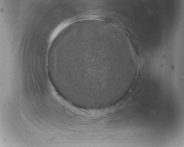 X0000051890006200507081950