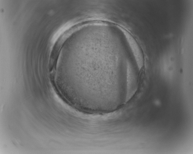 X0000051890007200507081950