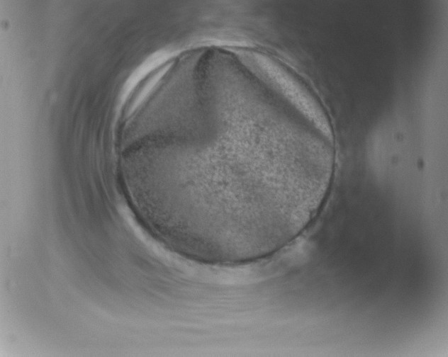 X0000051890008200507081950