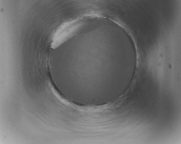 X0000051890009200507081950