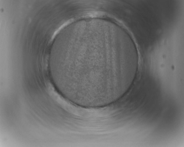 X0000051890010200507081950