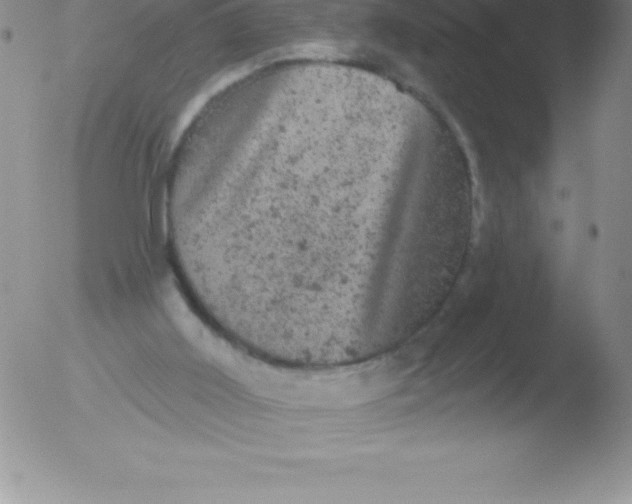 X0000051890011200507081950